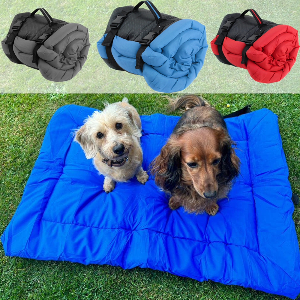 Waterproof Foldable Portable P – Outdoor Camping Floor Mat Bewertung und Preis