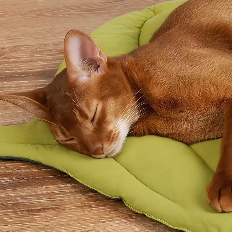 1/2PCS Leaf Shaped Cat Bed and – Outdoor Camping Floor Mat Bewertung und Preis
